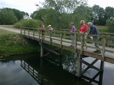 Vissen vanaf de brug