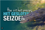 Roofvis ochtend en gesloten tijd